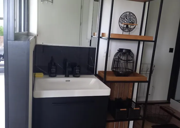 L'appart Des Mesanges דירה L'Herbergement